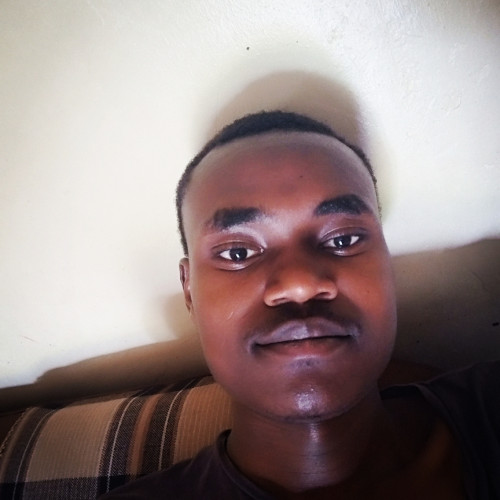 Felix K. profile photo