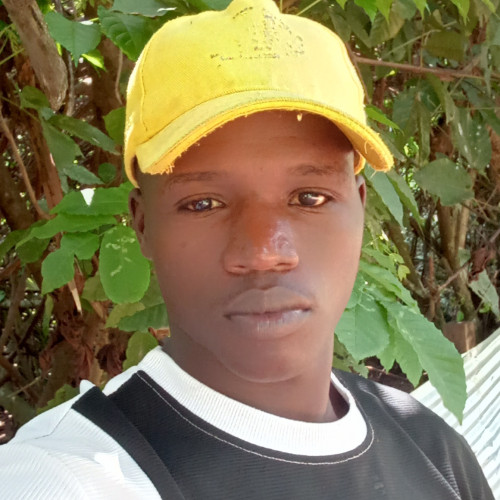AHMED  A. profile photo
