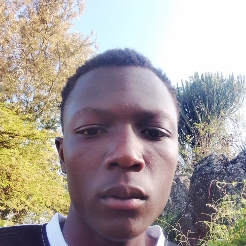 Berken R. profile photo