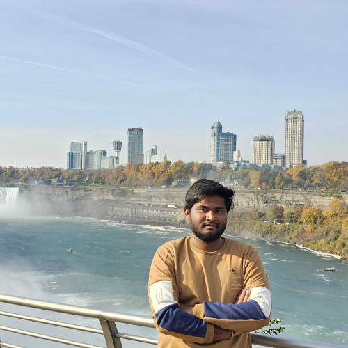 pavan k.