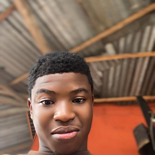 Ikenna N. profile photo