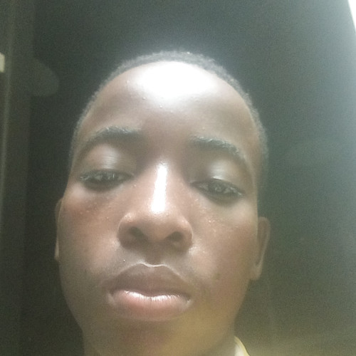 Daniel D. profile photo
