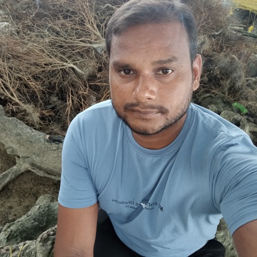 Imteyaz K. profile photo