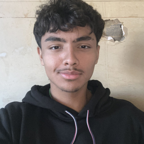 Alonso V. profile photo