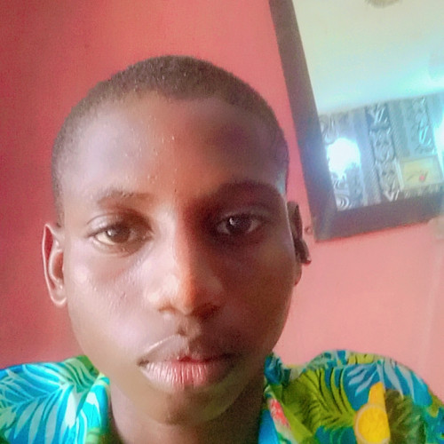 Olaniyi  S. profile photo