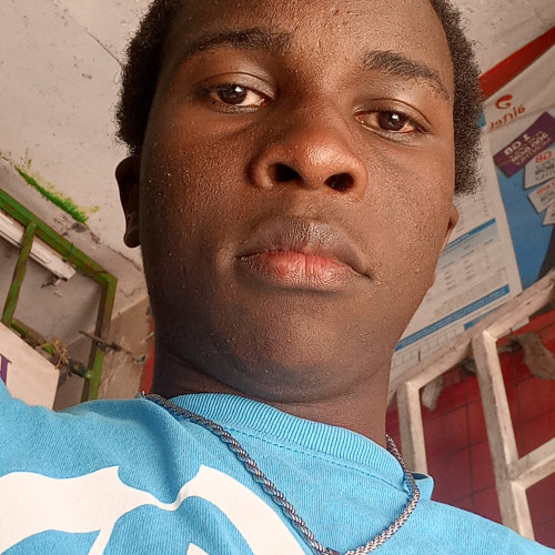 Elvis M. profile photo