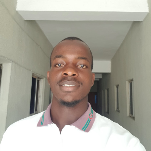 David Oguguomobi  A.