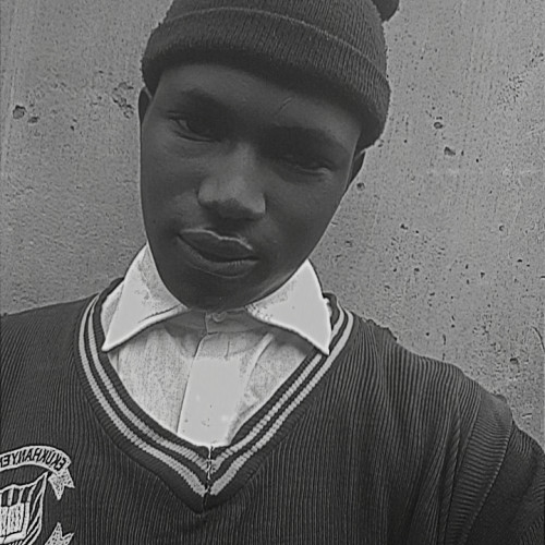 Max A. profile photo