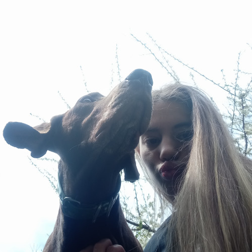 Ari d. profile photo