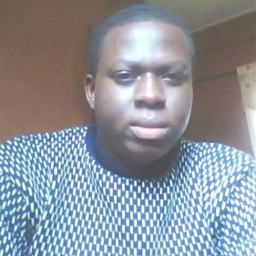 Fisayo E.