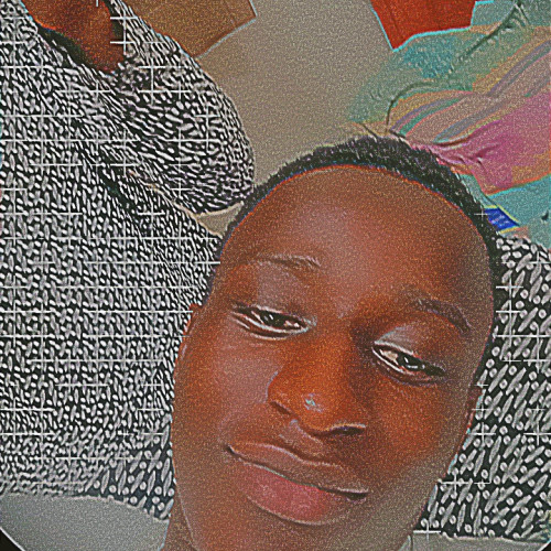 Siriki  O. profile photo