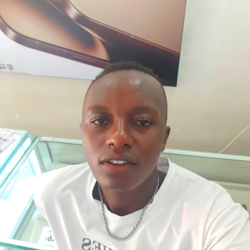 Daniel N. profile photo