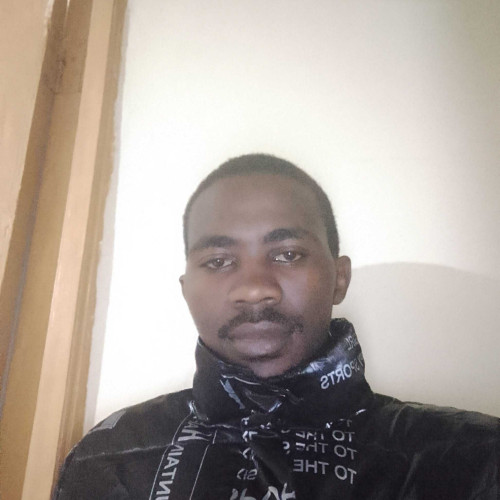 Dominic M. profile photo