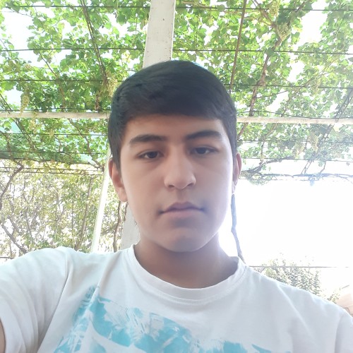 Afruzbek T.