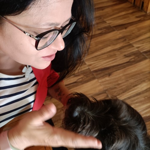 Rimpy K. profile photo