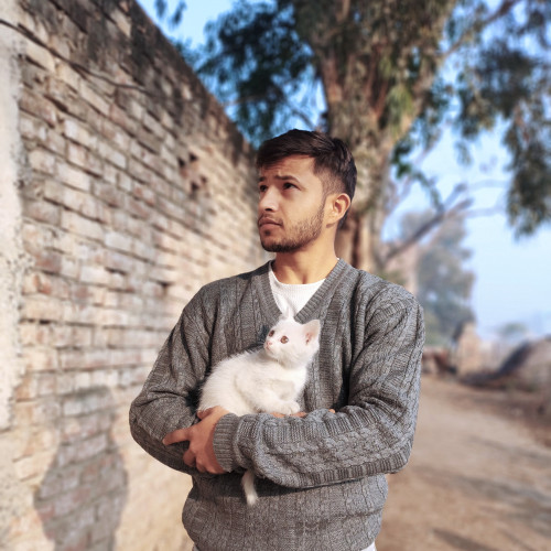 Sohil A. profile photo