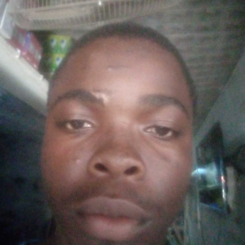 Vincent p. profile photo