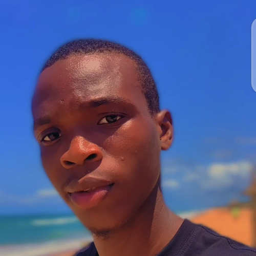 Adeleke A. profile photo