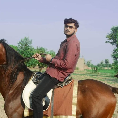 hassan n.