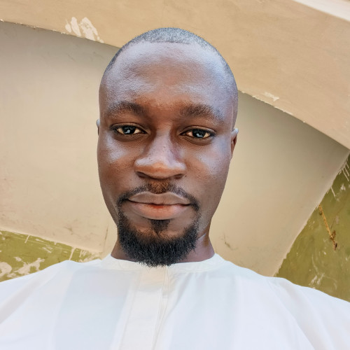 Olawale O.