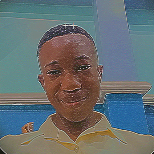 Chimaroke  O. profile photo