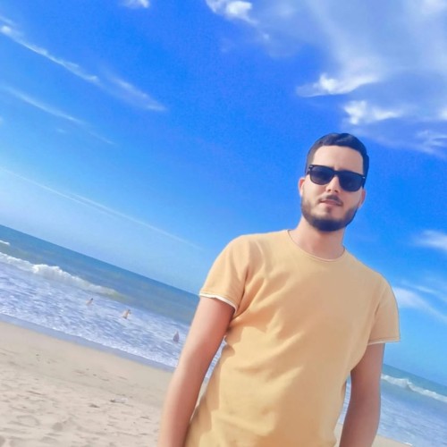 MOHSSINE  B. profile photo