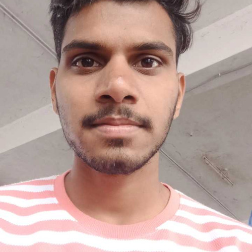 vikram s.