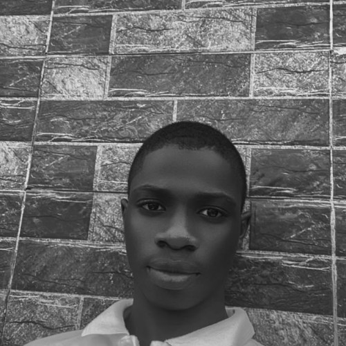 Sirajudeen O. profile photo