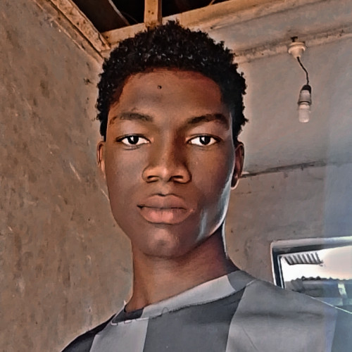 Enaboifoh G. profile photo