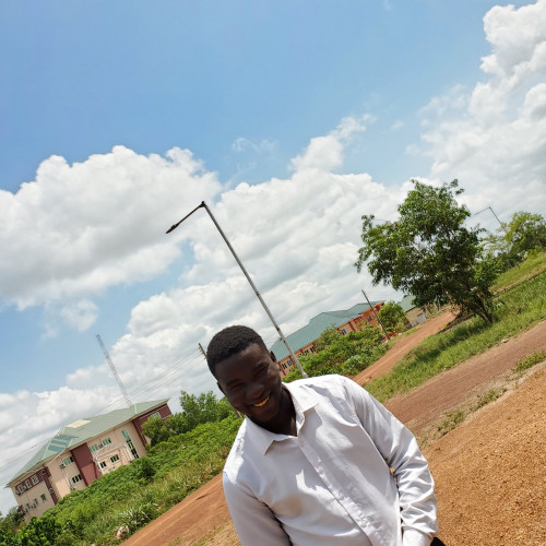 Kingsley N. profile photo