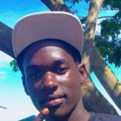 david M. profile photo