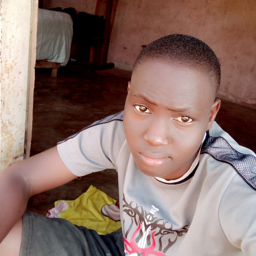 Everistus  M. profile photo