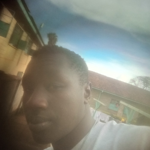 Evans K. profile photo
