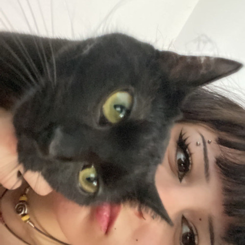 blue m. profile photo