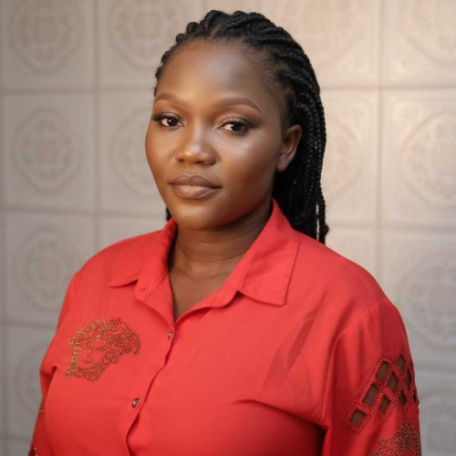 Damilola O. profile photo