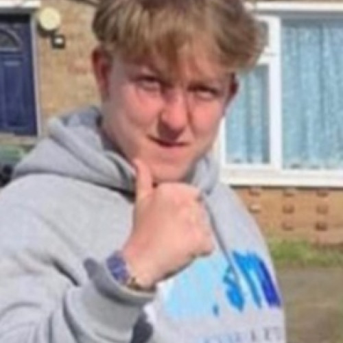 Erik P. profile photo
