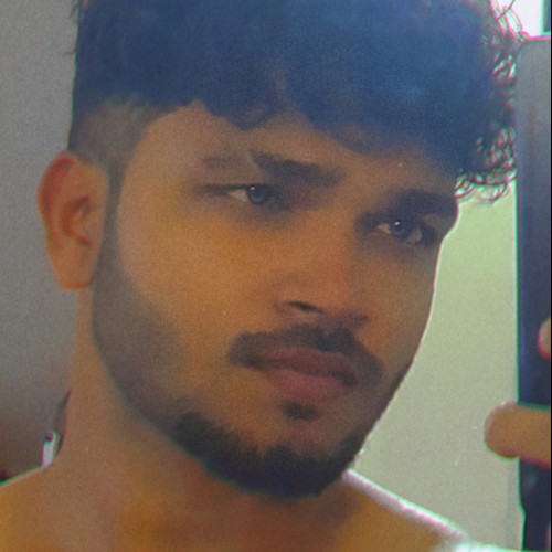 Biswajit N.