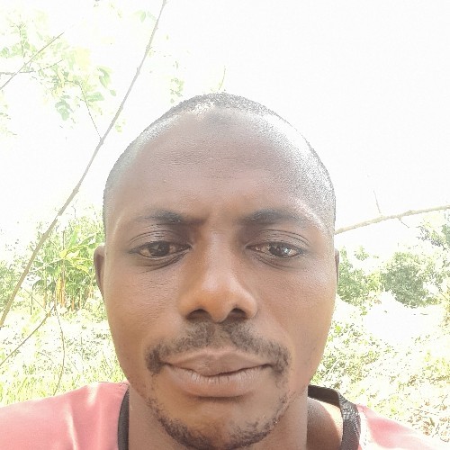 saheed A. profile photo