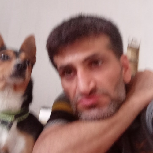 Amir G. profile photo