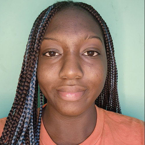 Damilotun G. profile photo