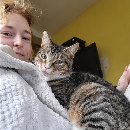 Sadie G. profile photo