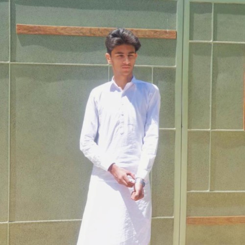 Faizan K.
