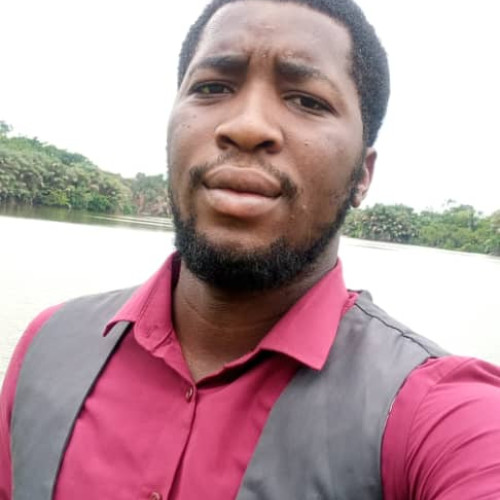 Onyedika O. profile photo