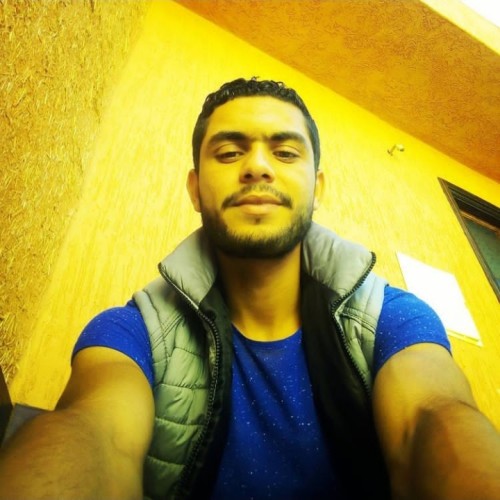 Hamza R. profile photo
