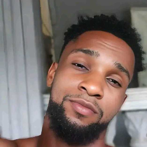 Aviel B. profile photo