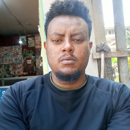 Haileyesus A.