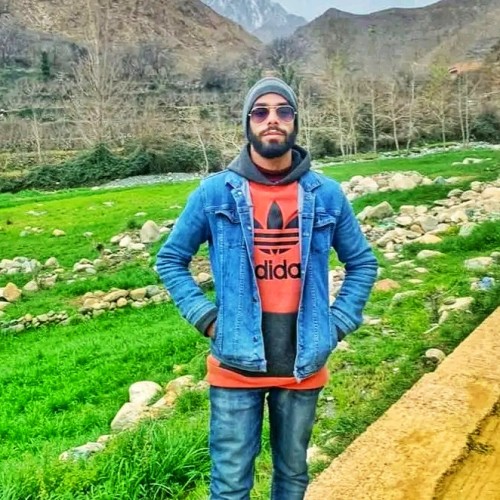 Houssain  B.