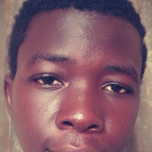 Istifanus O. profile photo