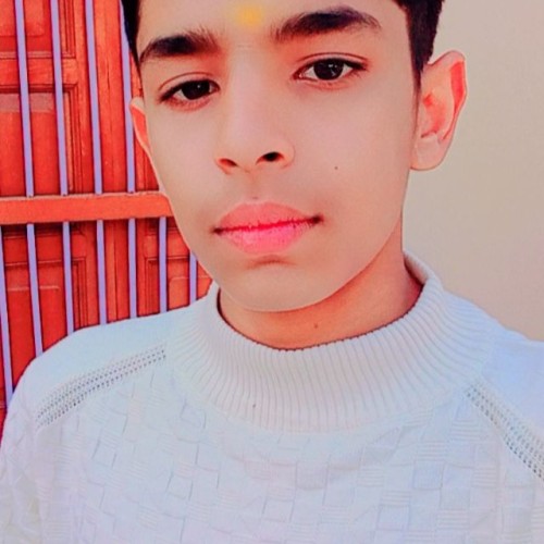 Nikhil V.