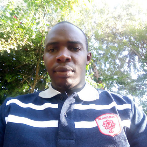 asava s. profile photo